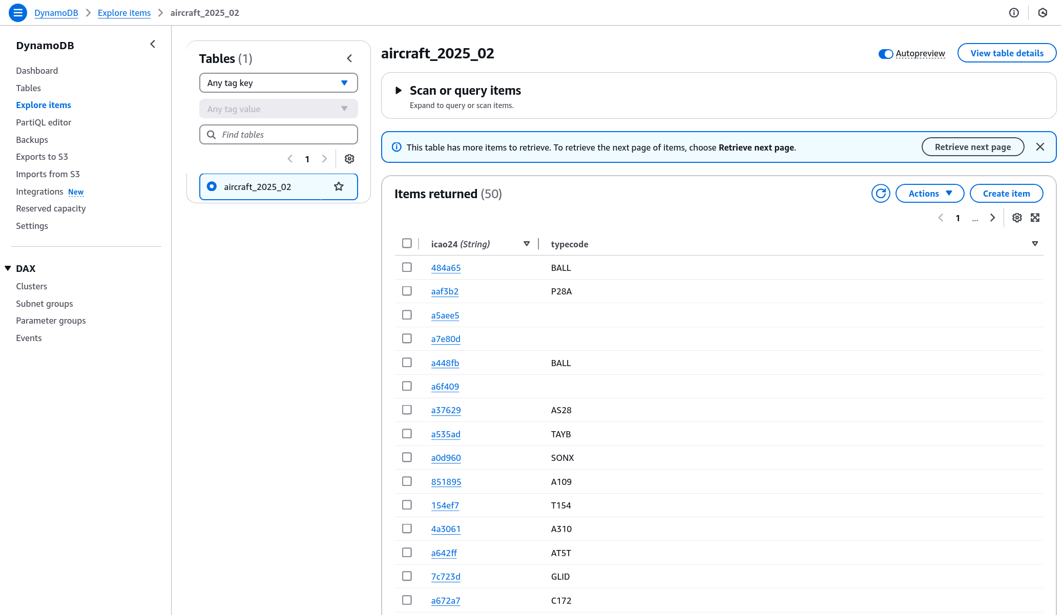 DynamoDB Table Items