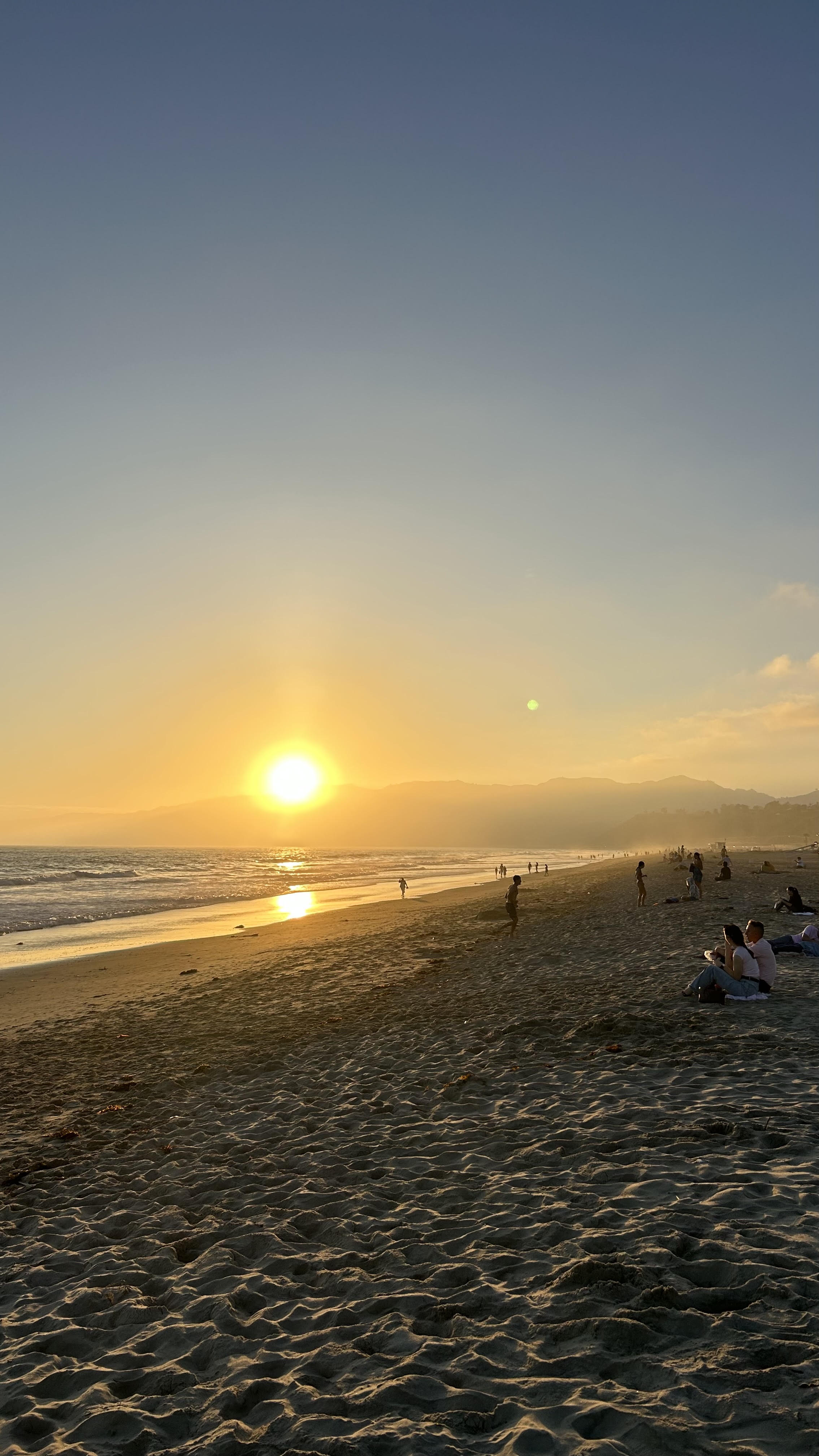 Sunset Swim in Santa Monica